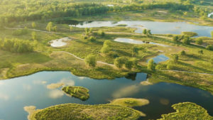 Vennen drone natuur