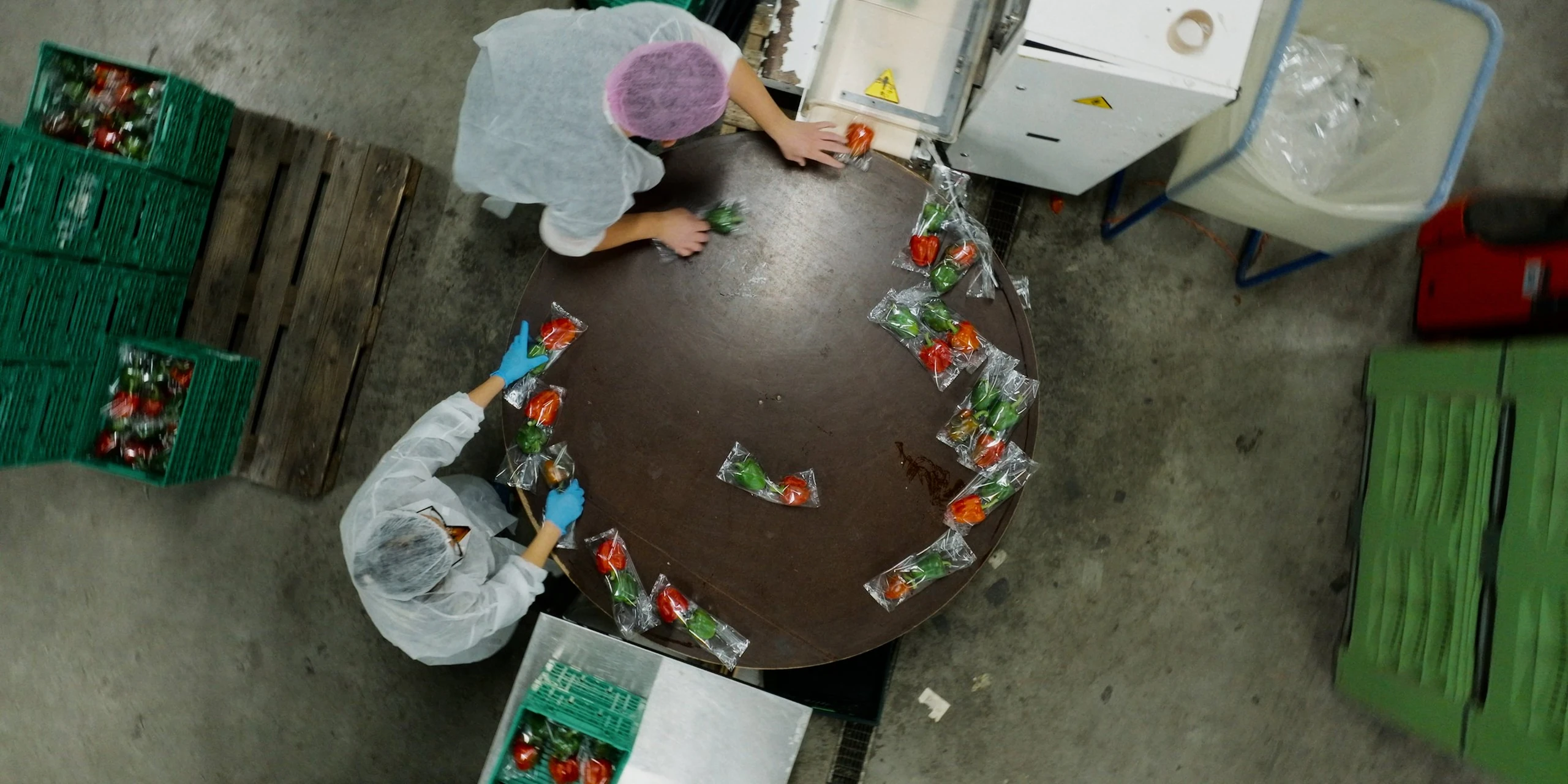 Indoor drone opname recht van boven van paprika's die worden verpakt