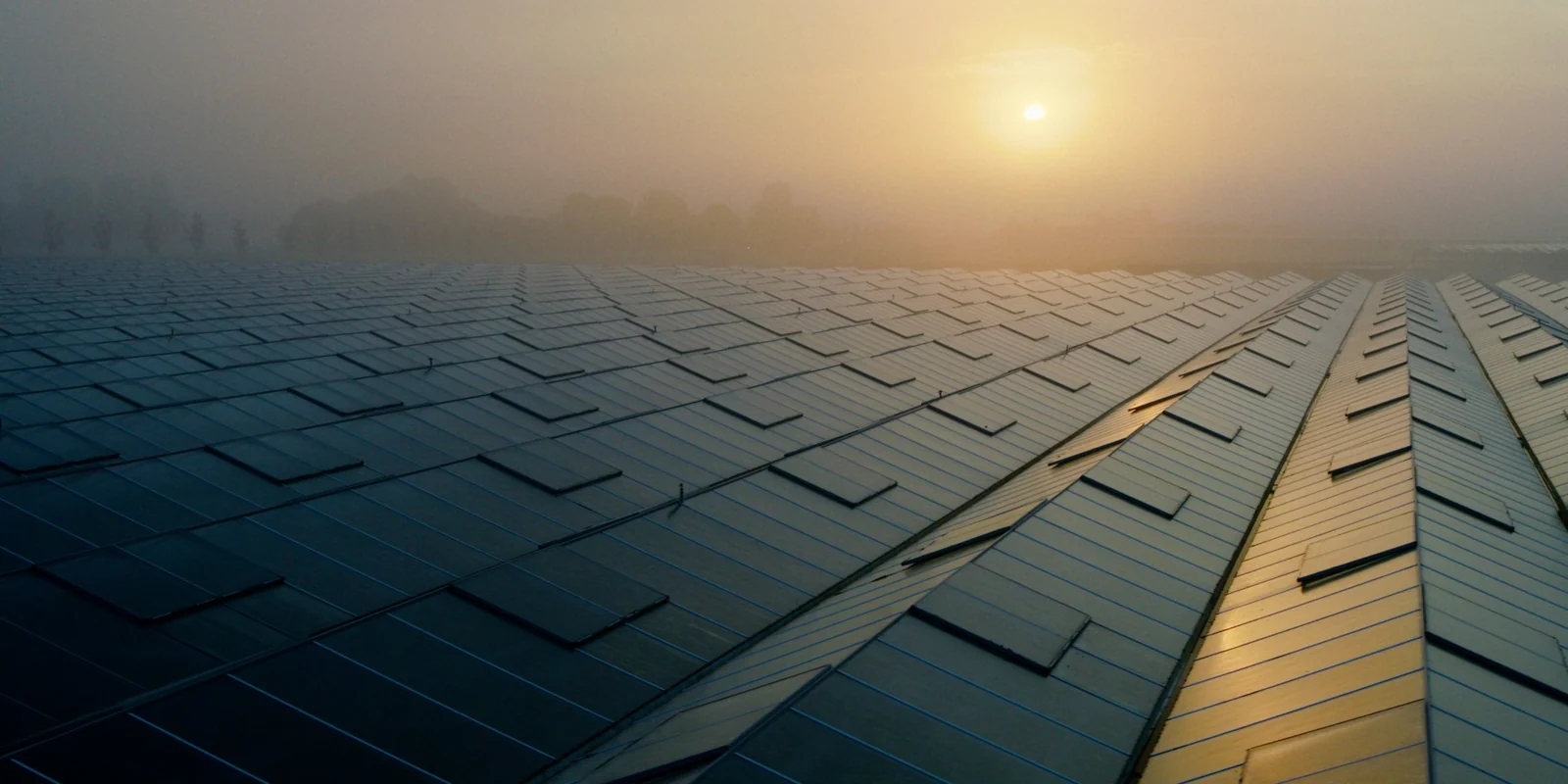 Zonnepanelen zonsopkomst mist drone foto solar aerial
